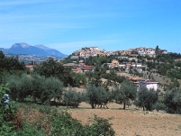 Panorama